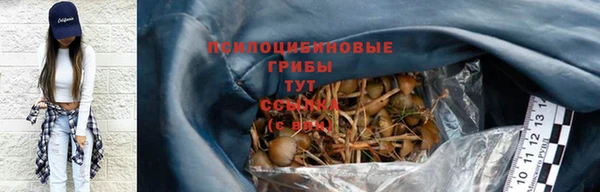 амф Дмитриев