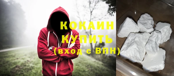 амф Дмитриев