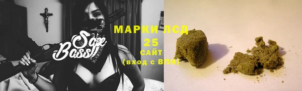 ГАЛЛЮЦИНОГЕННЫЕ ГРИБЫ Ельня