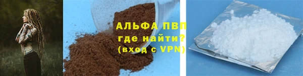 ГАЛЛЮЦИНОГЕННЫЕ ГРИБЫ Ельня
