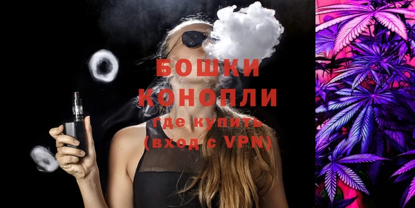 дживик Елабуга