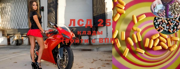 амф Дмитриев