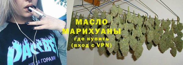 амф Дмитриев