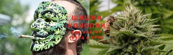 амф Дмитриев