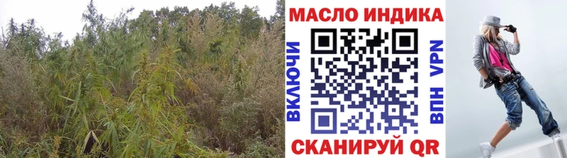 ТГК THC oil  купить закладку  Шуя 
