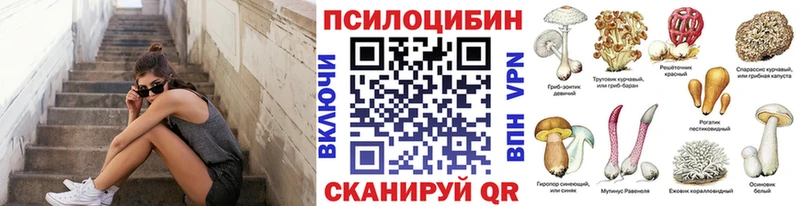 kraken как войти  Шуя  Галлюциногенные грибы ЛСД 